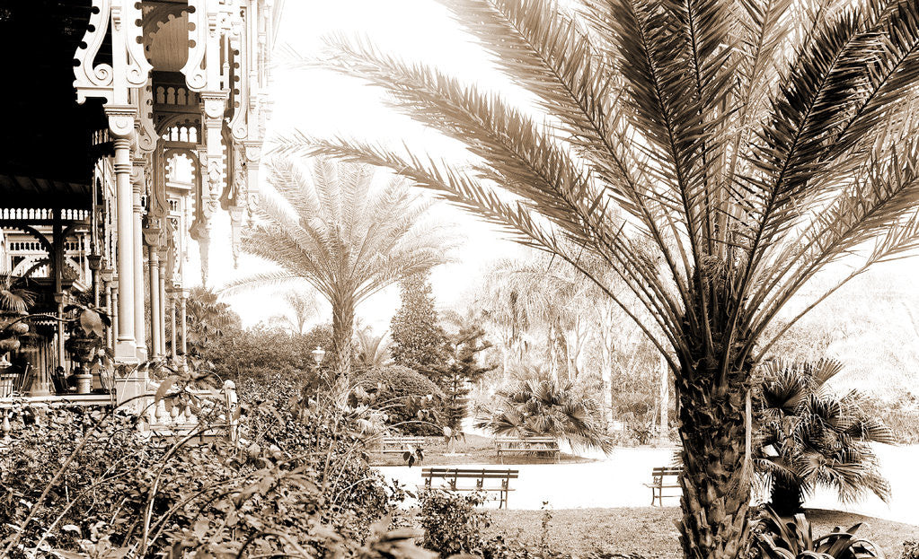 Detail of The Grounds of Tampa Bay Hotel, Tampa by Anonymous