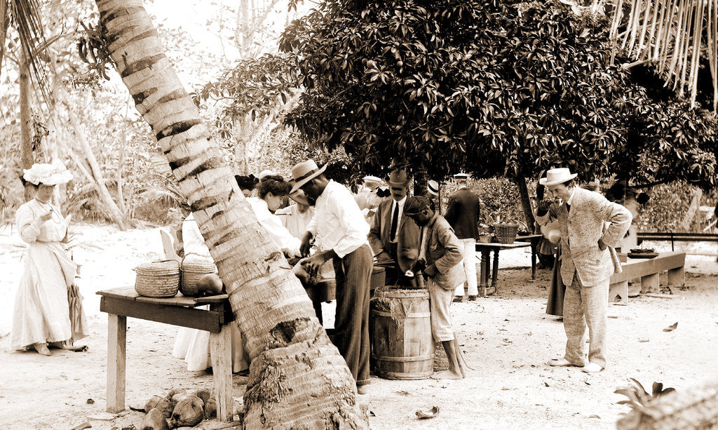 Detail of Tourists buying coconuts and fruit from vendor, probably Nassau by Anonymous