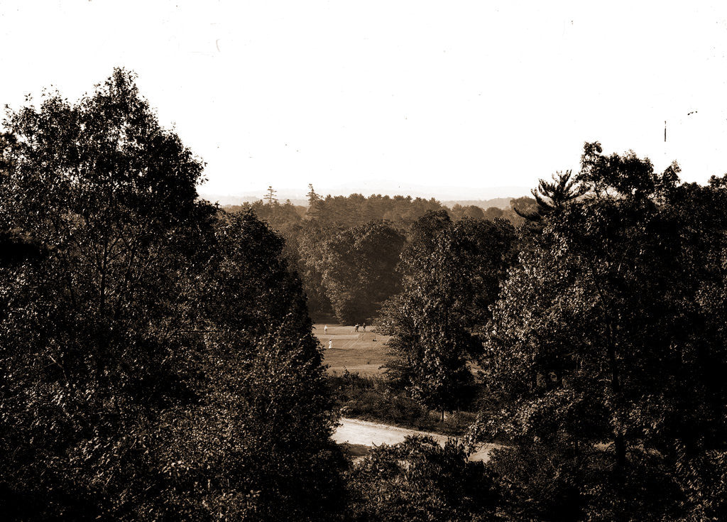 Detail of Golf course in the mountains, possibly a New York resort by Anonymous