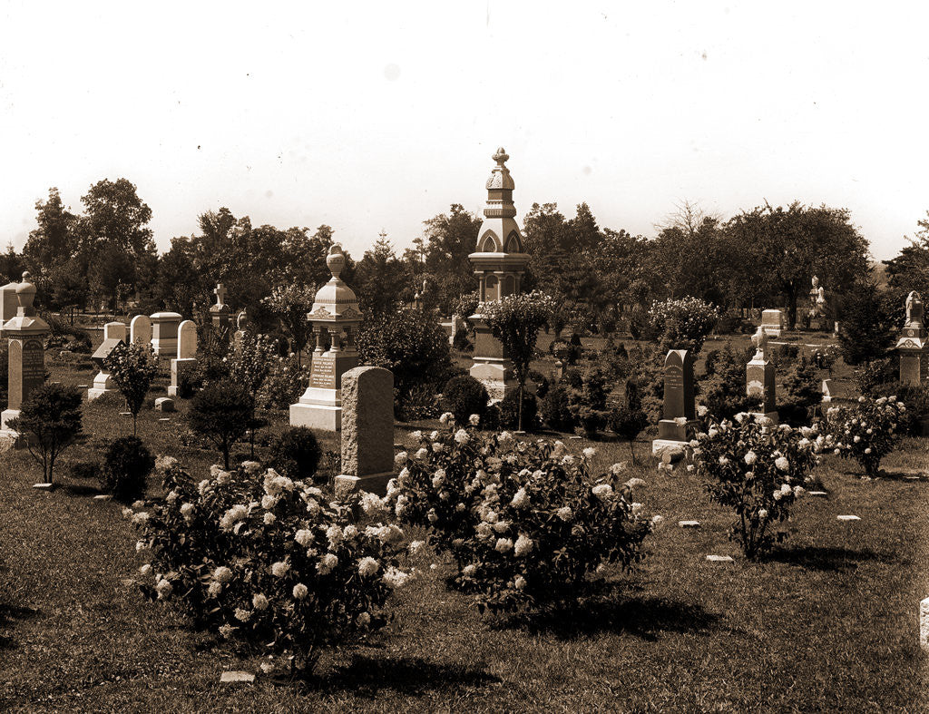 Detail of Cemetery, Cemeteries by Anonymous
