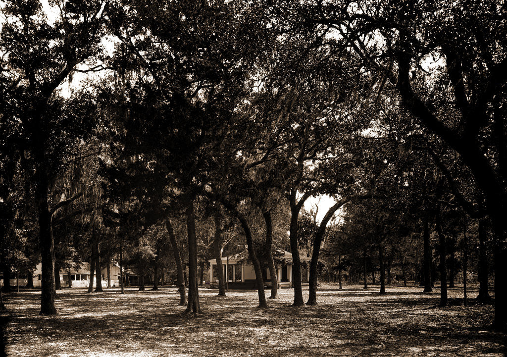 Detail of Pavilion behind trees, possibly Southern States by Anonymous