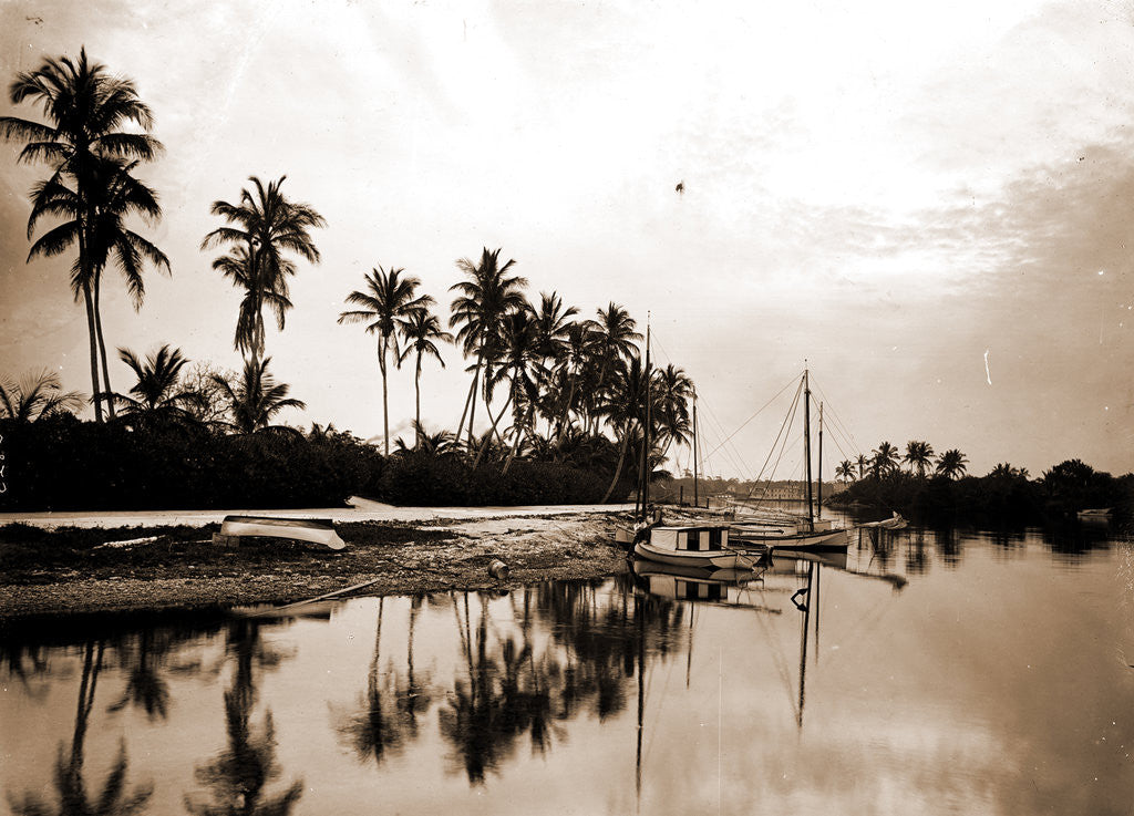 Detail of Miami River evening, Waterfronts by Anonymous