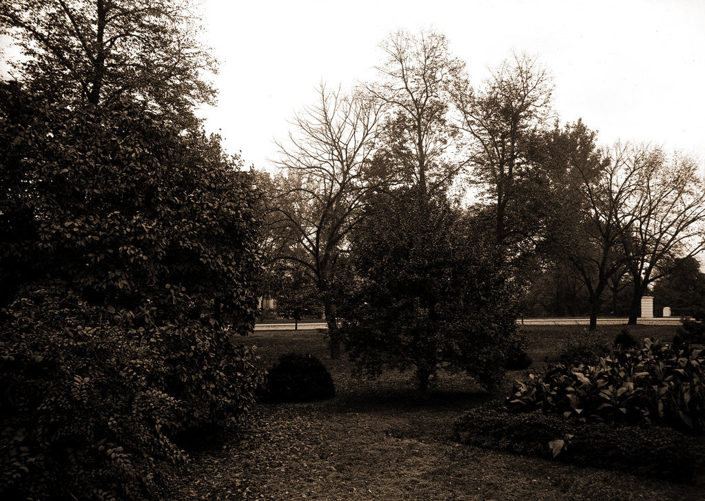 Detail of White House, Washington by Anonymous