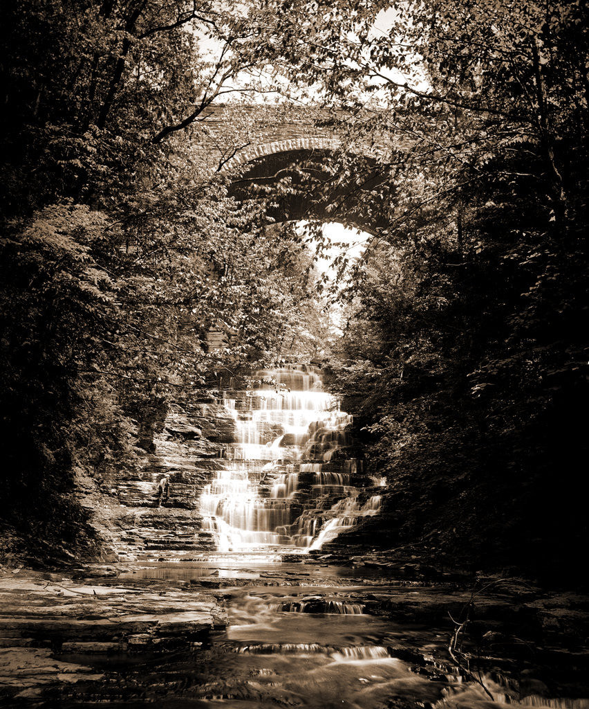 Detail of Cascadilla Gorge, Ithaca by Anonymous