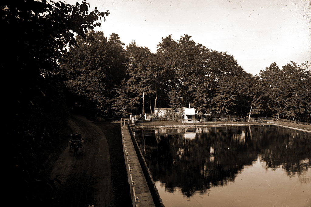 Detail of The Reservoir, Mount Royal Park by Anonymous