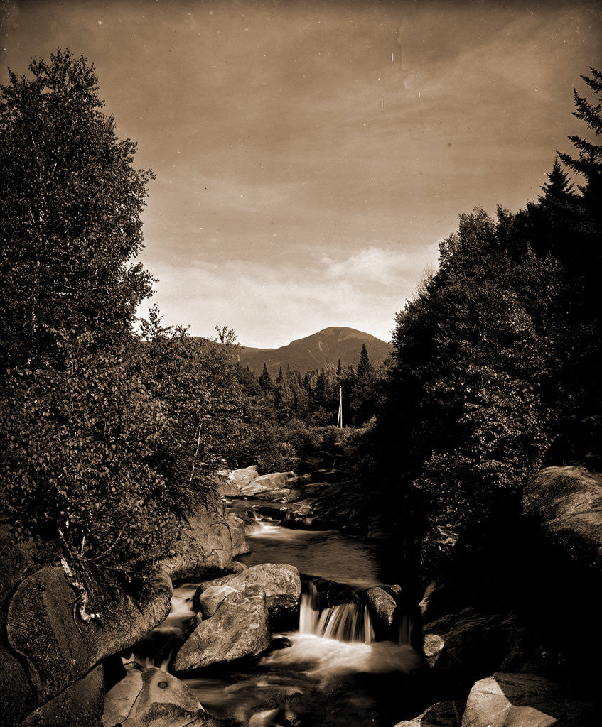 Detail of Mt. Pleasant from the Ammonoosuc, White Mountains by Anonymous
