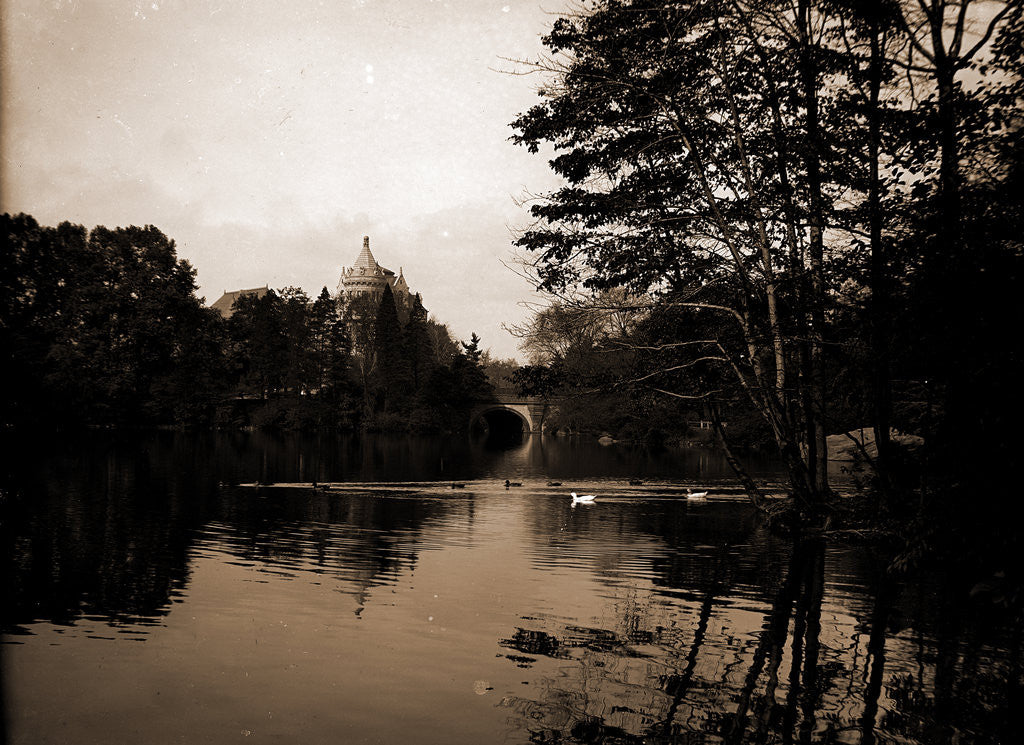 Detail of A Lake view in Central Park, New York by Anonymous