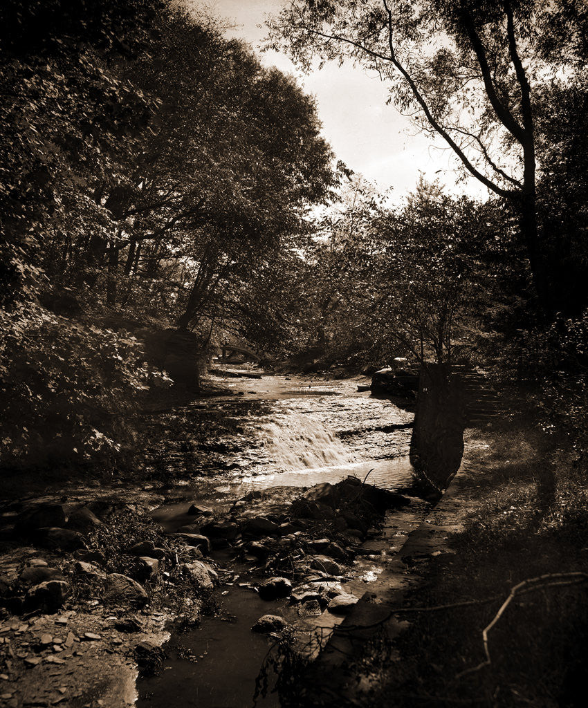 Detail of Waterfall in Wade Park, Cleveland by Anonymous