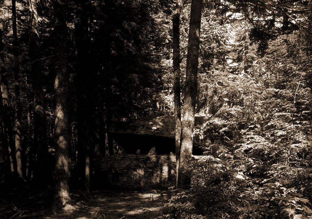Detail of Alligator Head near South Lake, Catskill Mountains by Anonymous