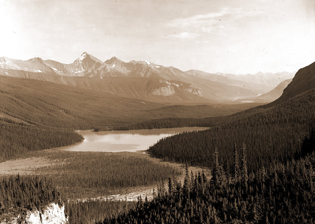 Detail of Yoho Park Reserve, B.C by Anonymous