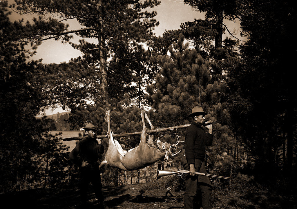 Detail of Hunting in the Adirondacks, Deer hunting by Anonymous