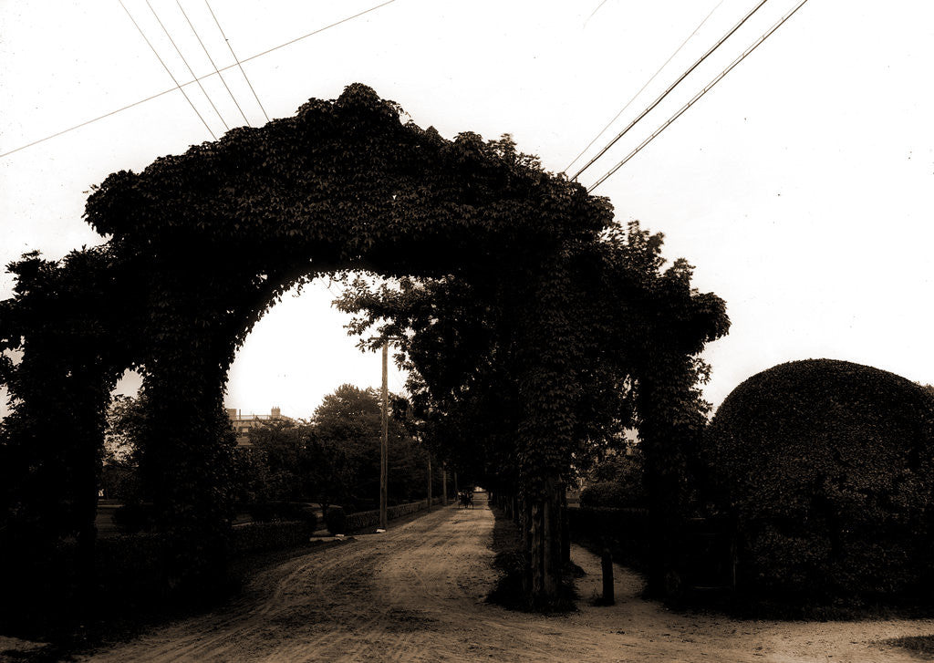 Detail of Jarvis Lane, Far Rockaway by Anonymous