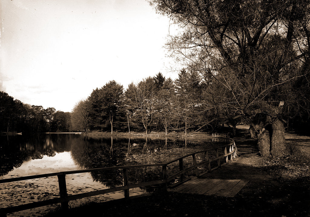 Detail of The Lake, Vassar College by Anonymous