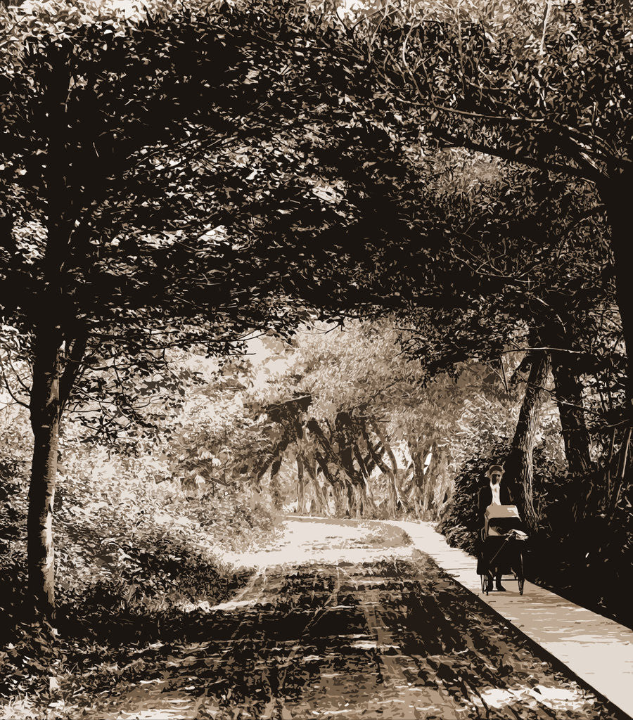 Detail of Under the willows, Rye Beach by Anonymous