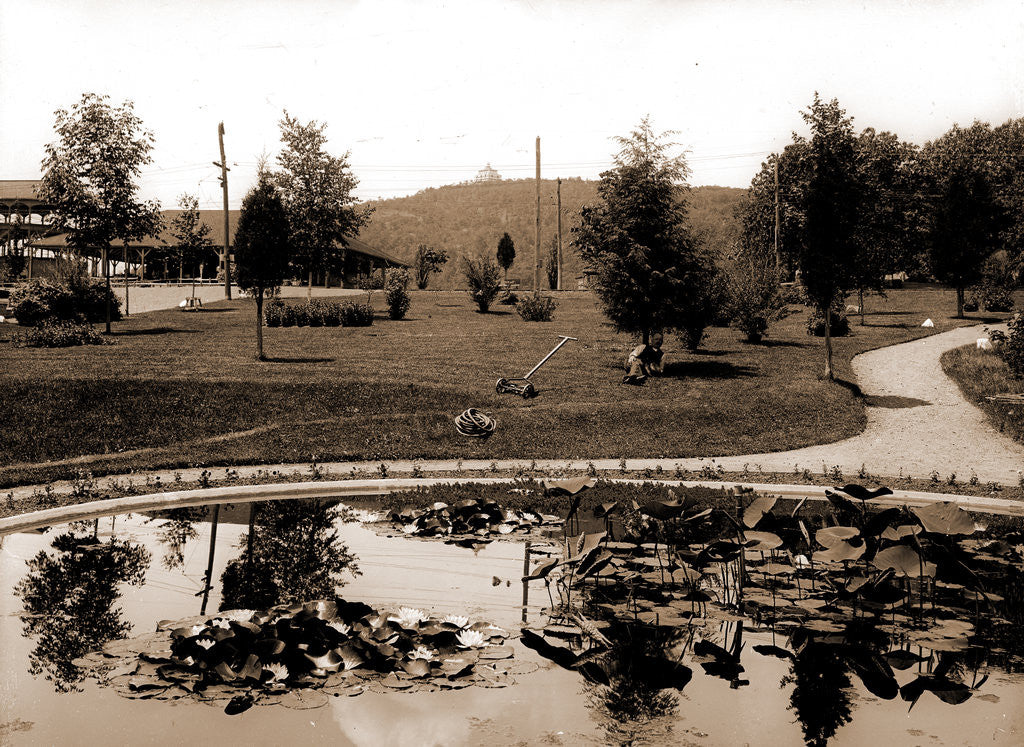Detail of Lily pond, Mountain Park by Anonymous