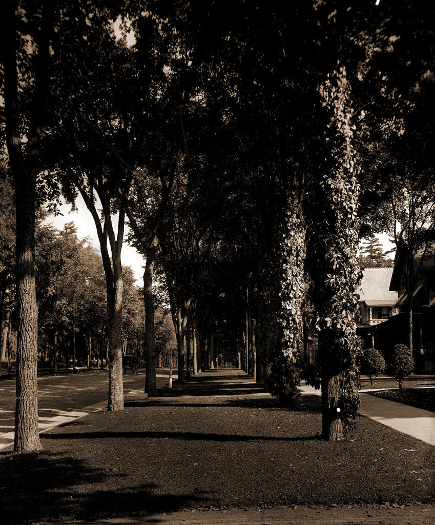 Detail of North Broadway, Saratoga by Anonymous