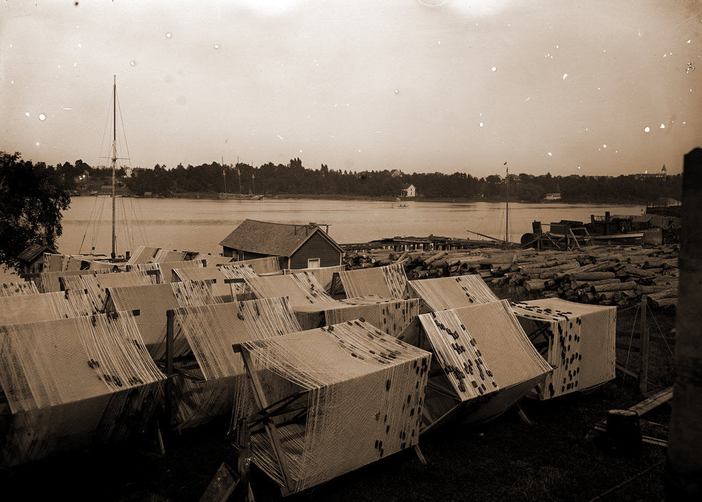 Detail of Drying the nets, Charlevoix by Anonymous