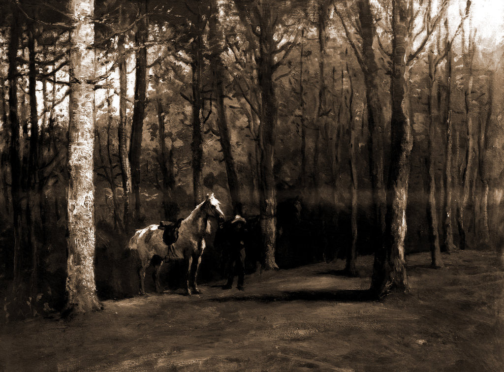 Detail of Pine woods by Anonymous