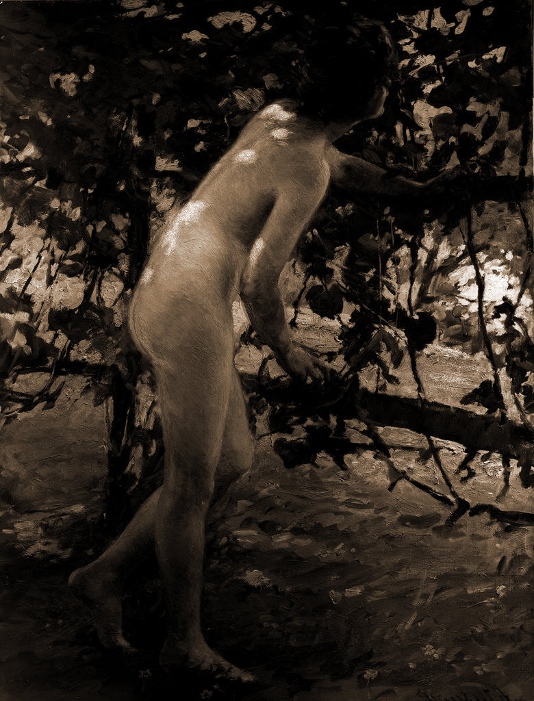 Detail of The Bird song by Anonymous