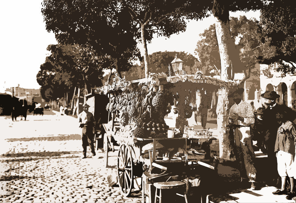 Detail of Fruit stands on the Prado by Anonymous