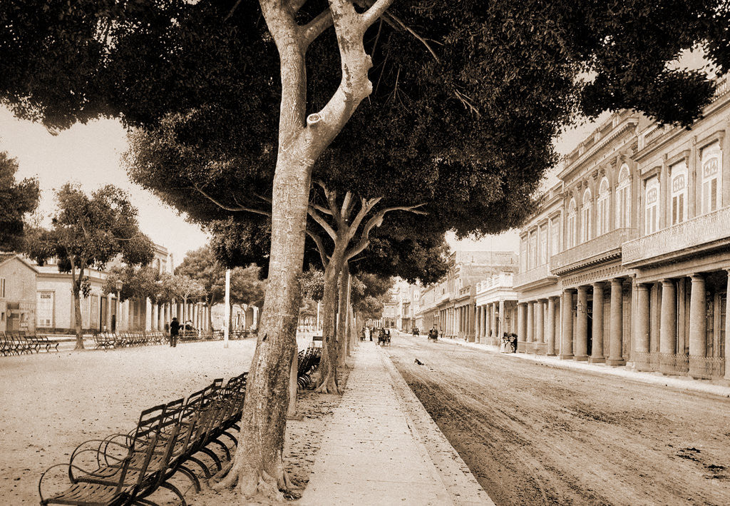 Detail of Paseo del Prado by William Henry Jackson