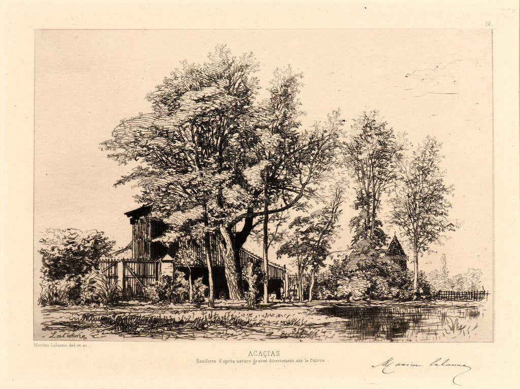 Detail of Acacias, 19th century by Maxime Lalanne