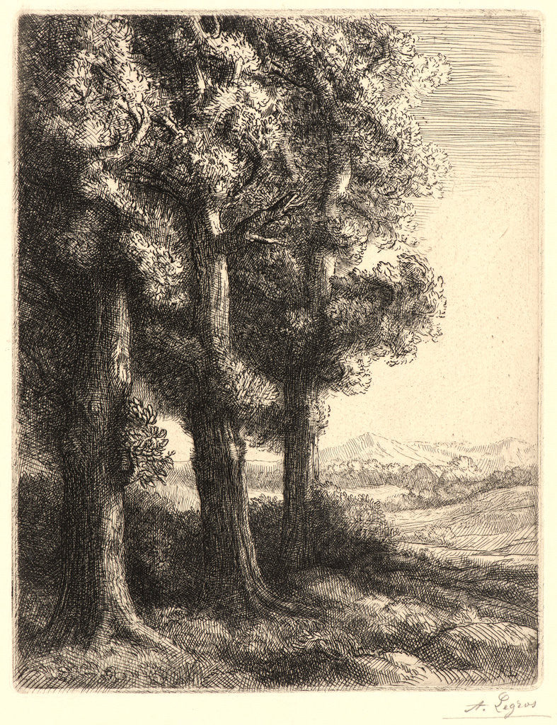 Detail of The Edge of the Woods (La Liseuse: La Lecture sous les Arbres) by Alphonse Legros
