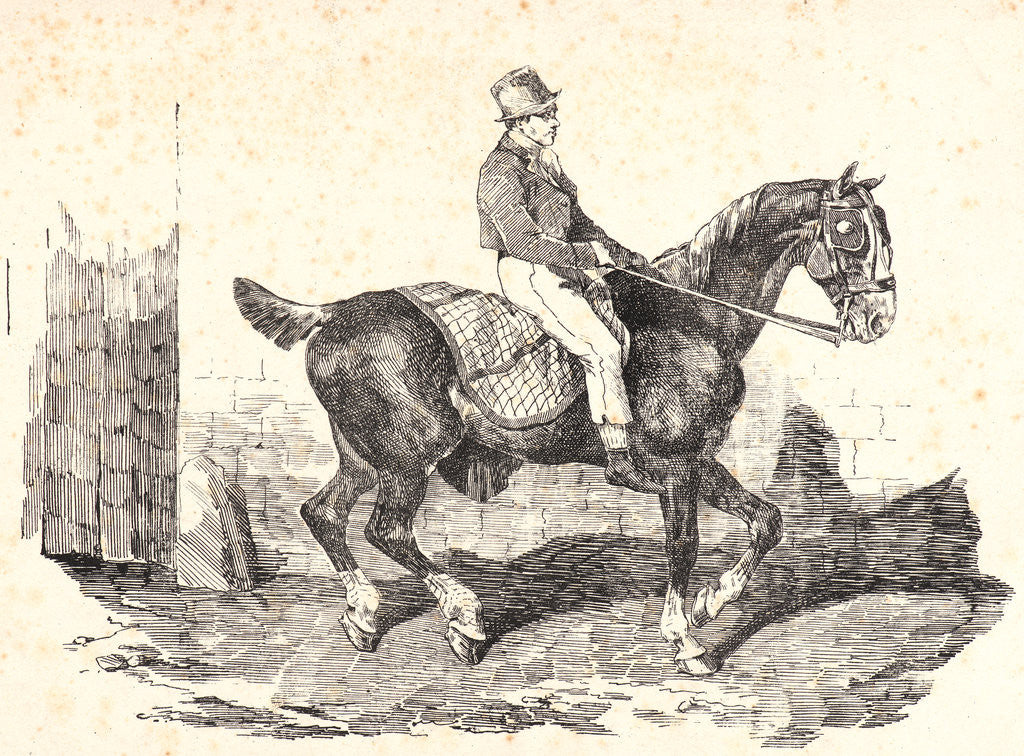 Detail of Coach Horse, Ridden by a Coachman, 1820 by Théodore Géricault