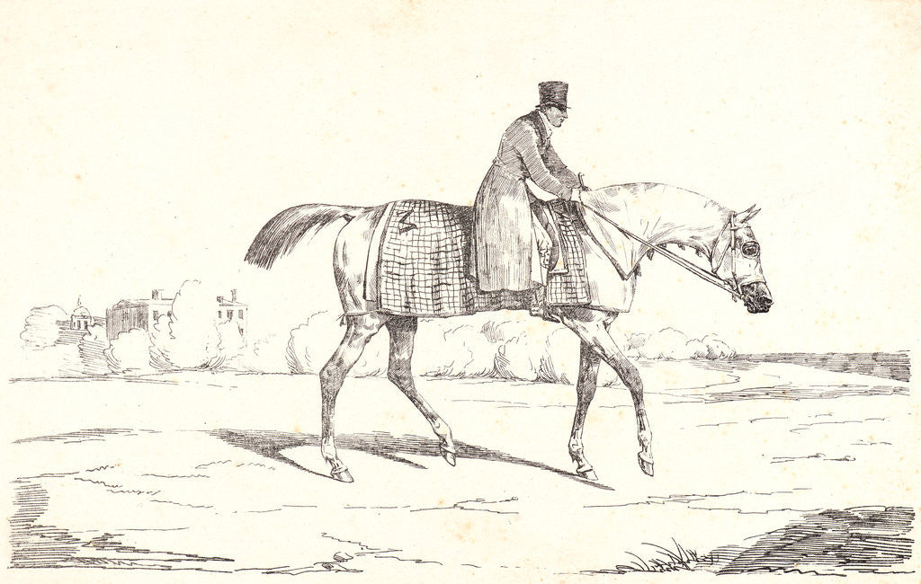 Detail of English Jockey (Jockey anglais), 1820 by Théodore Géricault