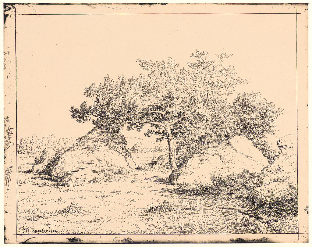 Detail of Le Cerisier de la Plante a Biau, 19th century by Théodore Rousseau