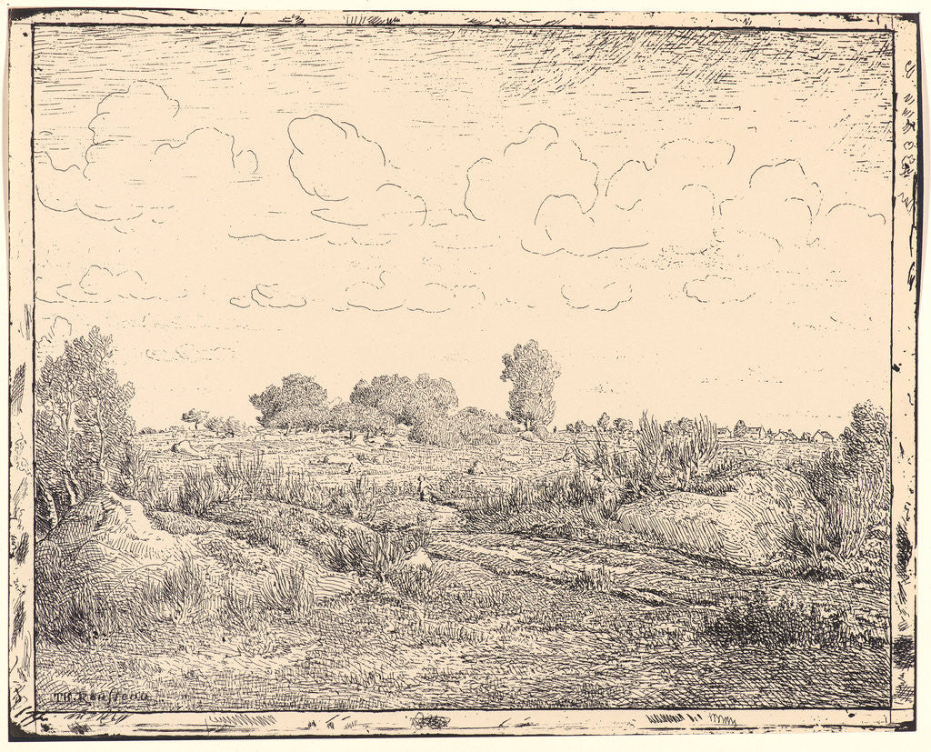 Detail of Le Plaine de la Plante a Biau, 19th century by Théodore Rousseau