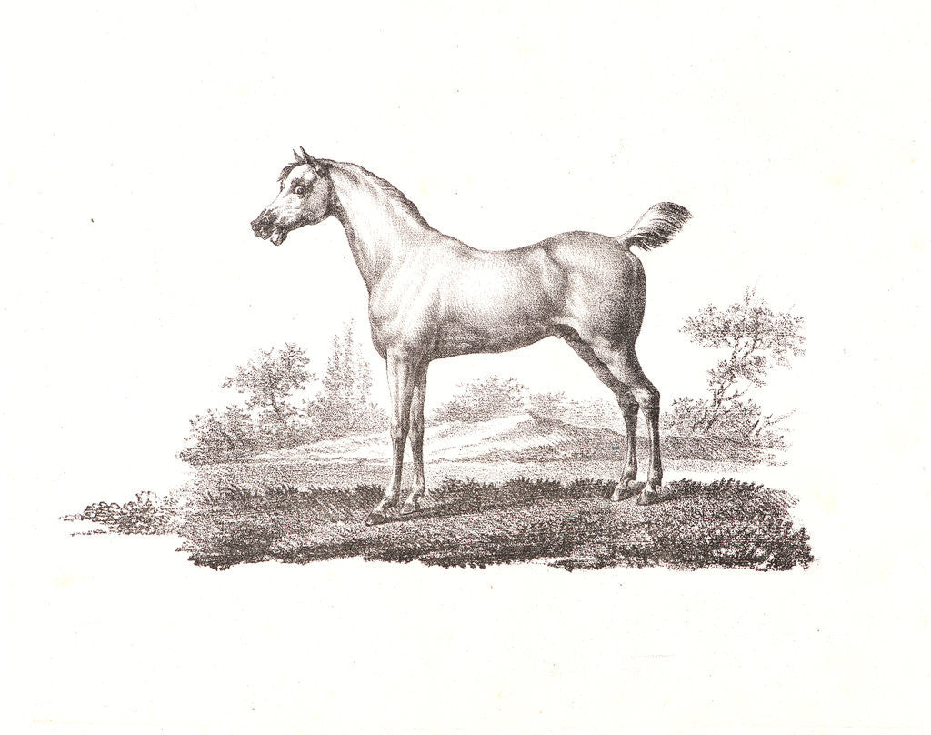 Detail of A Crayon Drawing, from Receuil Papryographique, 1820 by Alois Senefelder