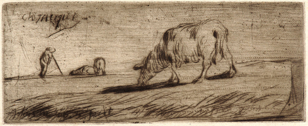Detail of Sheep Grazing (Moutons Paissant), ca. 1849-1850 by Jean-François Millet