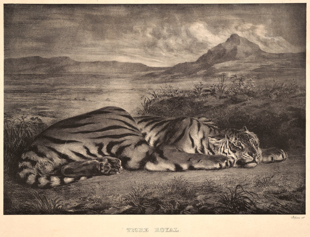 Detail of Tigre Royal, 1829 by Eugène Delacroix