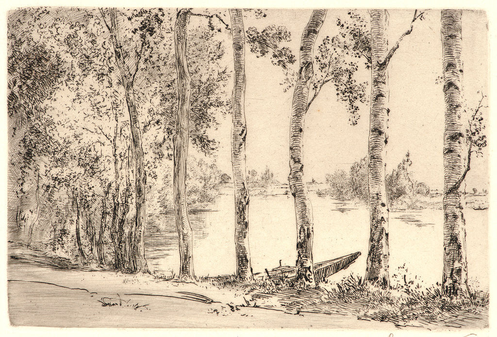 Detail of Aspens on the Bank of the Seine by Félix Bracquemond