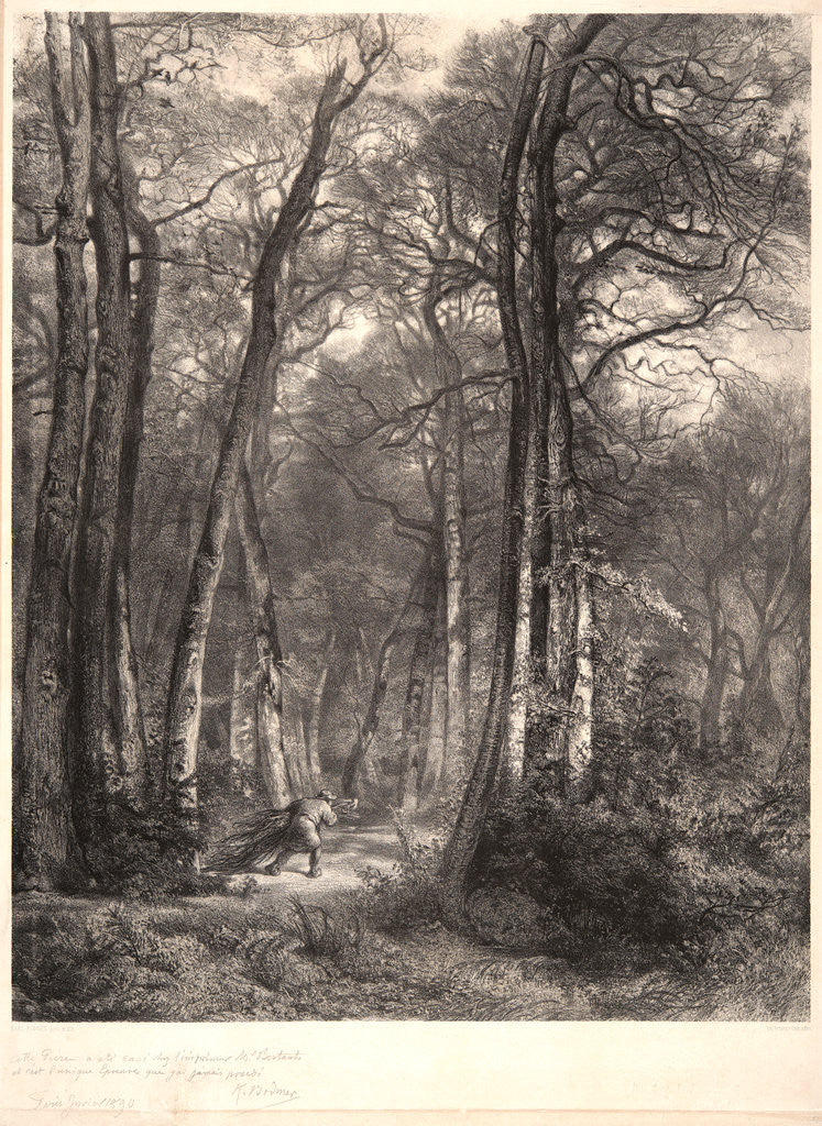 Detail of In the Forest or Tall Timber (En Forêt ou Haute Futaie), ca. 1851 by Karl Bodmer