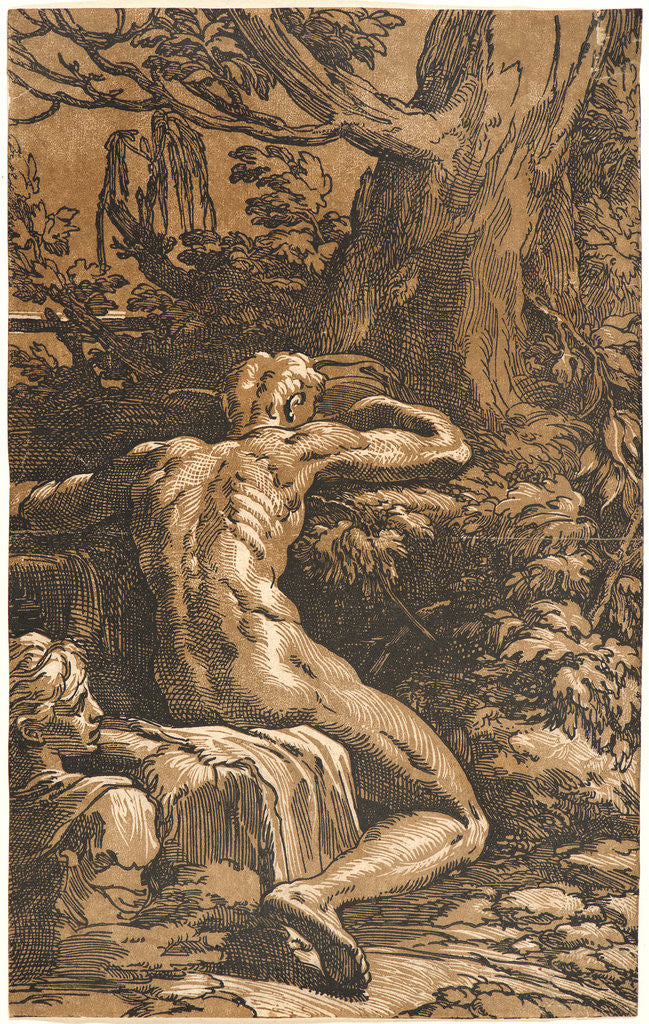 Detail of Seated Man Seen from the Back, ca. 1527- 1531 by Antonio da Trento