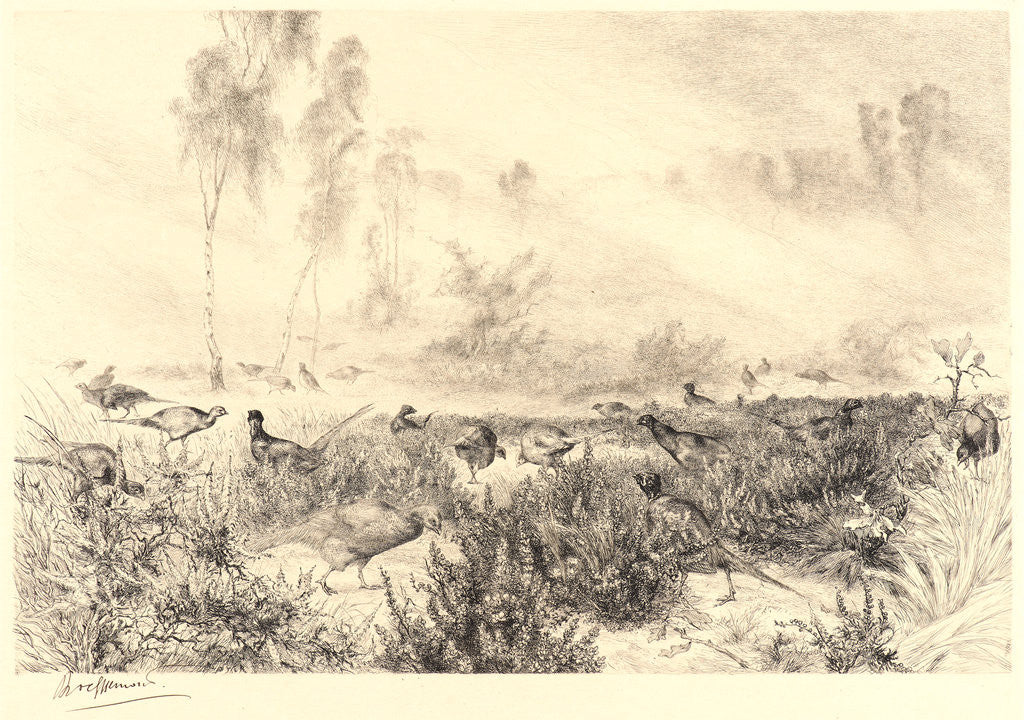 Detail of Morning Mists (Brumes du Matin) by Félix Bracquemond