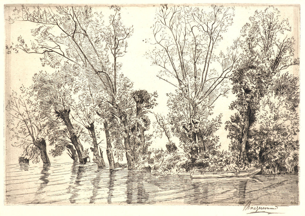 Detail of Willows (Les Saules des Mottiaux), 19th century by Félix Bracquemond
