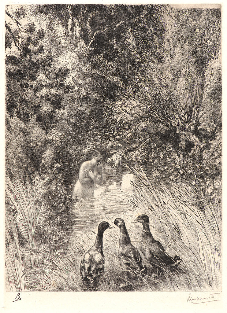 Detail of Surprised Ducks (Canards Surpris). by Félix Bracquemond
