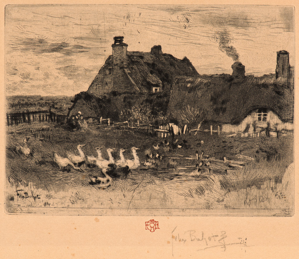 Detail of Ducks and Cottage, 19th century by Félix Hilaire Buhot