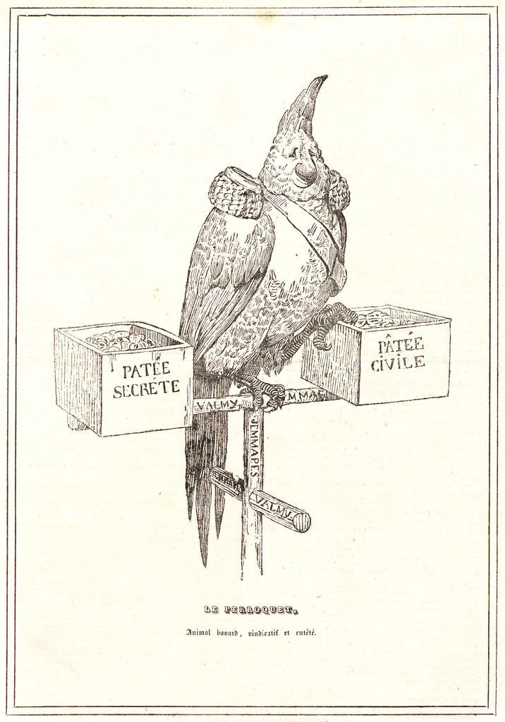 Detail of Le Perroquet, 1834 by Honoré Daumier