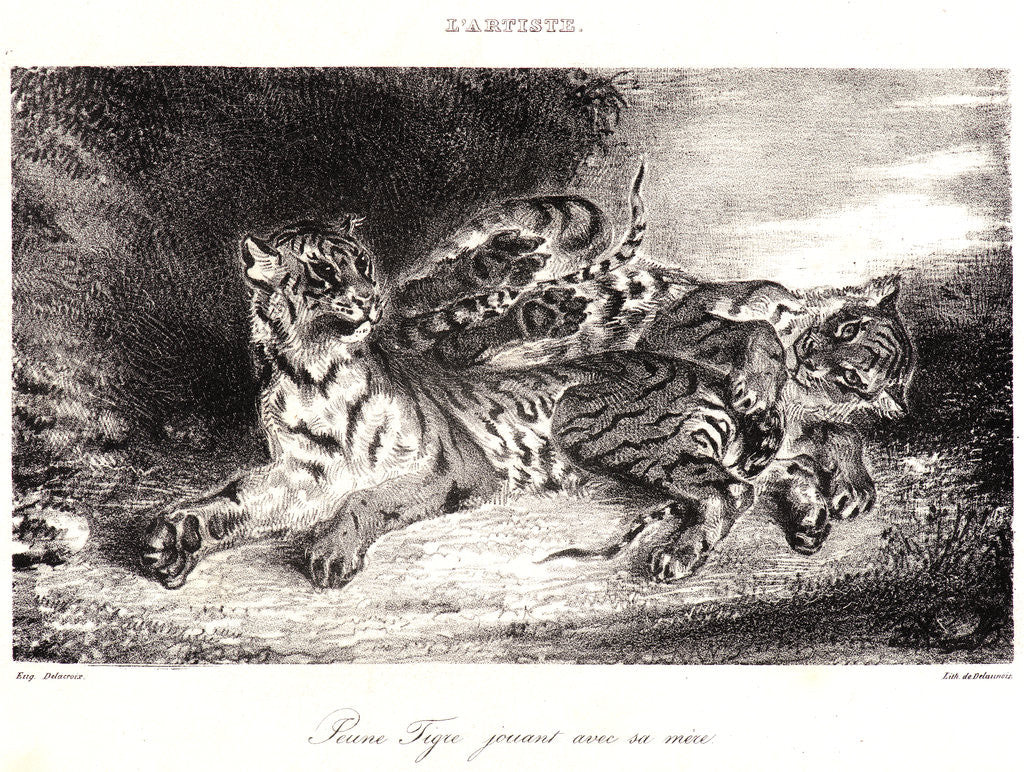Detail of Young Tiger Playing with its Mother (Jeune Tigre jouant avec sa Mêre), 1831 by Eugène Delacroix