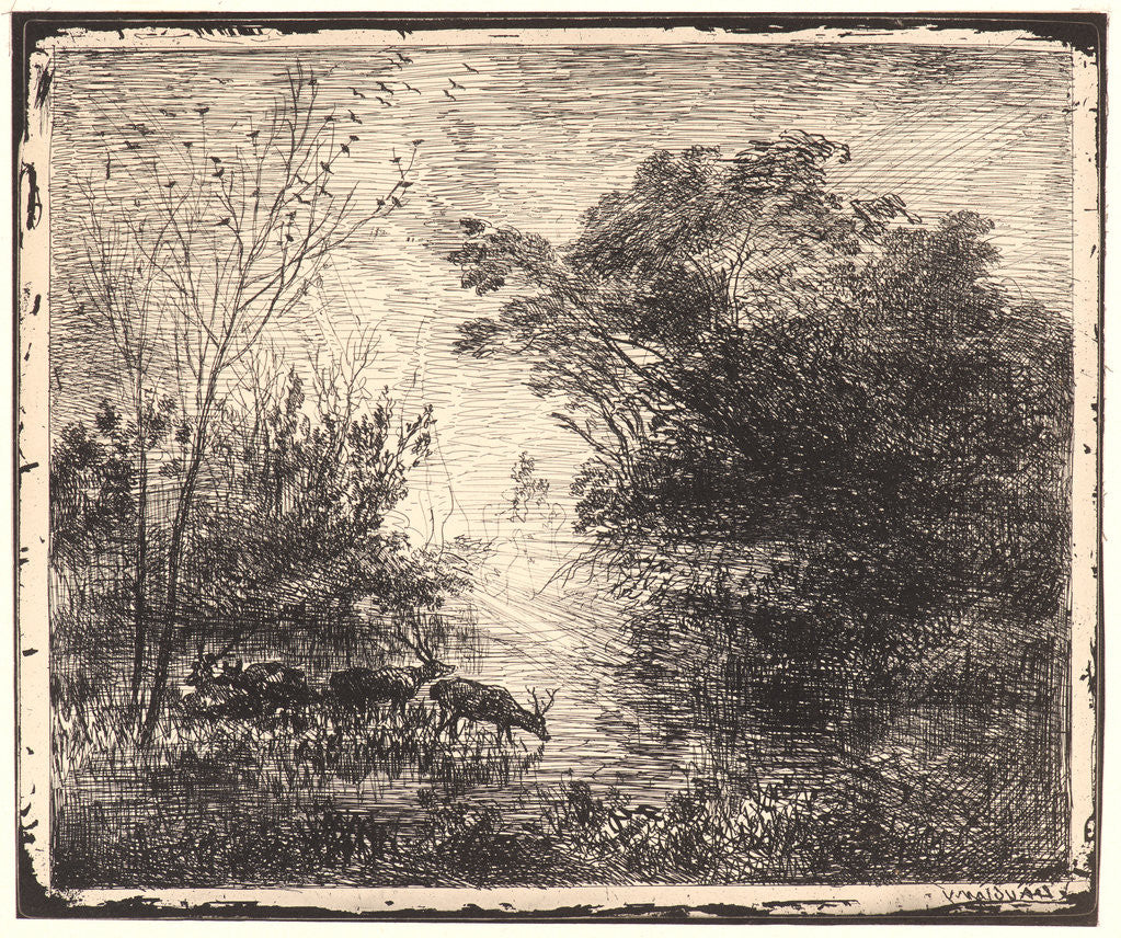 Detail of The Deer (Les Cerfs), 1862 by Charles François Daubigny