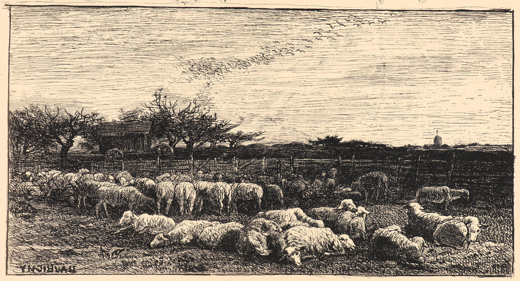 Detail of Le Grand Parc a Moutons, 1862 by Charles François Daubigny