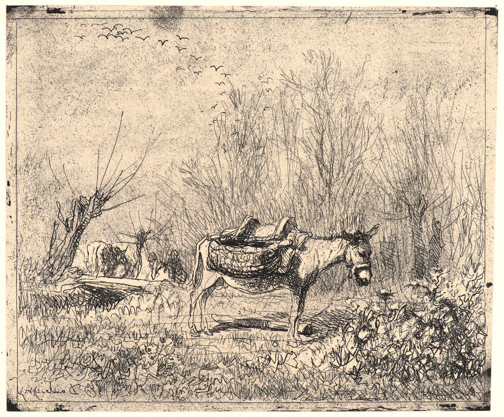 Detail of L'Ane au Pré, 1862 by Charles François Daubigny