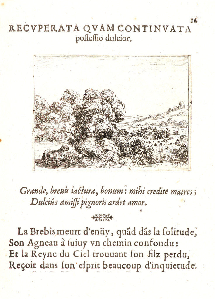 Detail of La Brebis Appelant son Agneau, 17th century by Jacques Callot