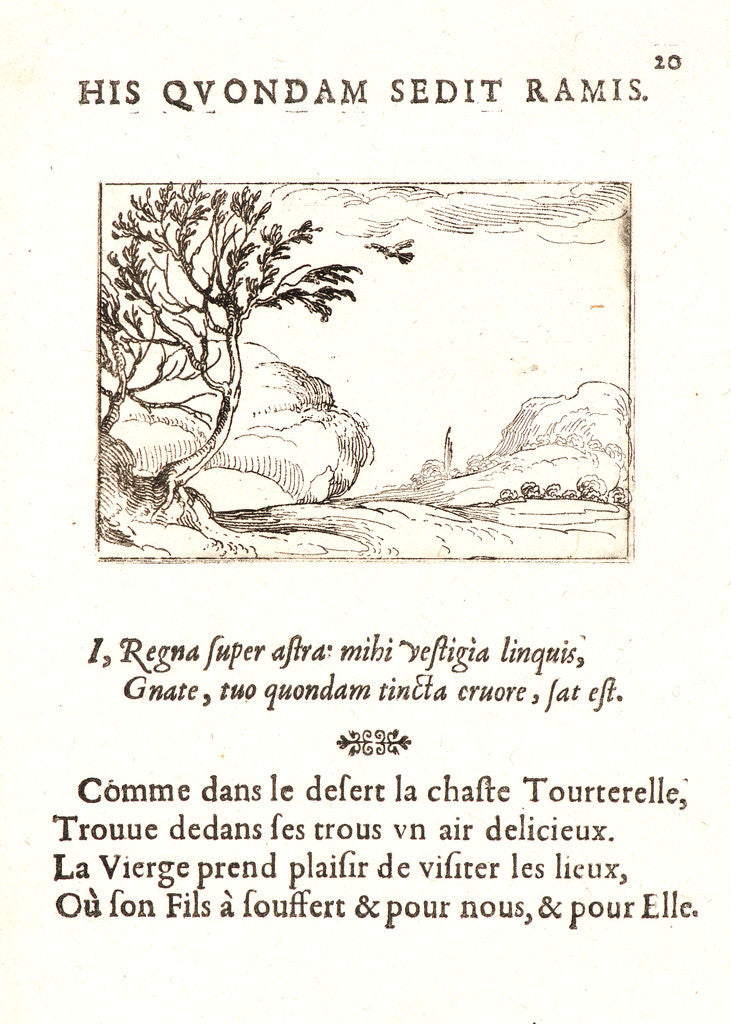 Detail of Tourterelle Volant dans le Desert, 17th century by Jacques Callot