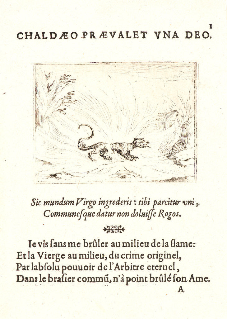 Detail of Salamandre Marchant dans les Flammes, 17th century by Jacques Callot