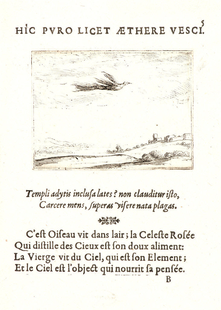 Detail of L'Oisseau de Paradis, 17th century by Jacques Callot
